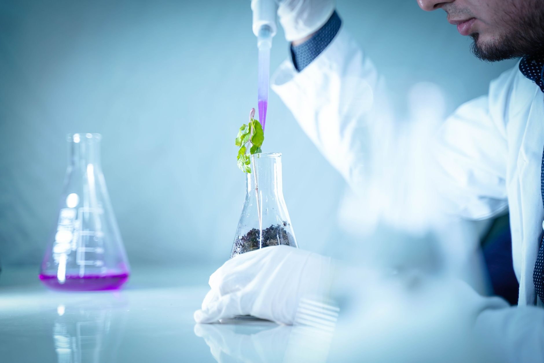 Testare siguranță alimentară în laborator